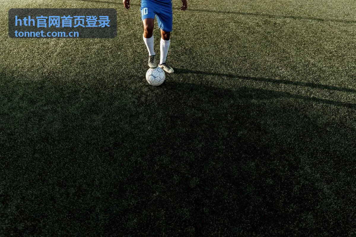hth 封面图