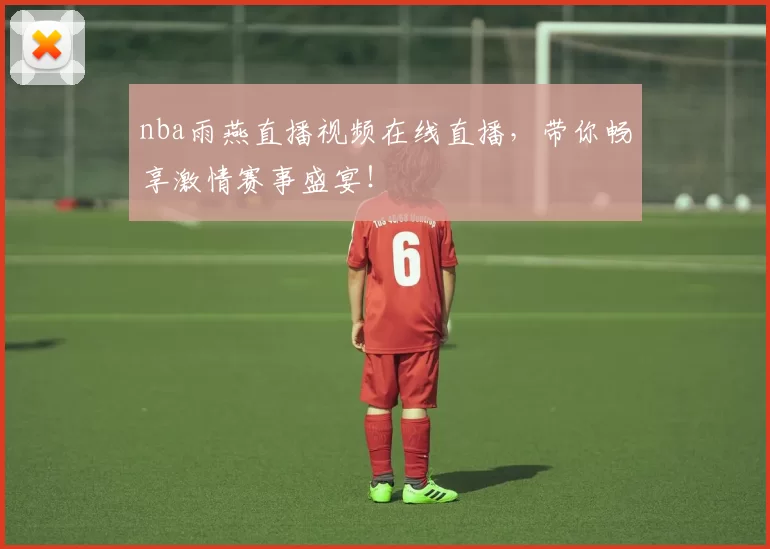 nba雨燕直播视频在线直播，带你畅享激情赛事盛宴！