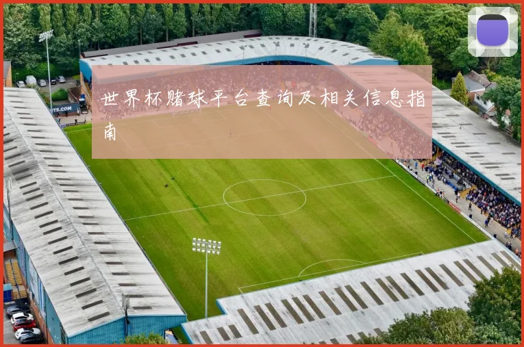 世界杯赌球平台查询及相关信息指南