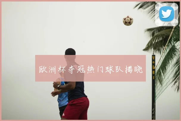 欧洲杯夺冠热门球队揭晓