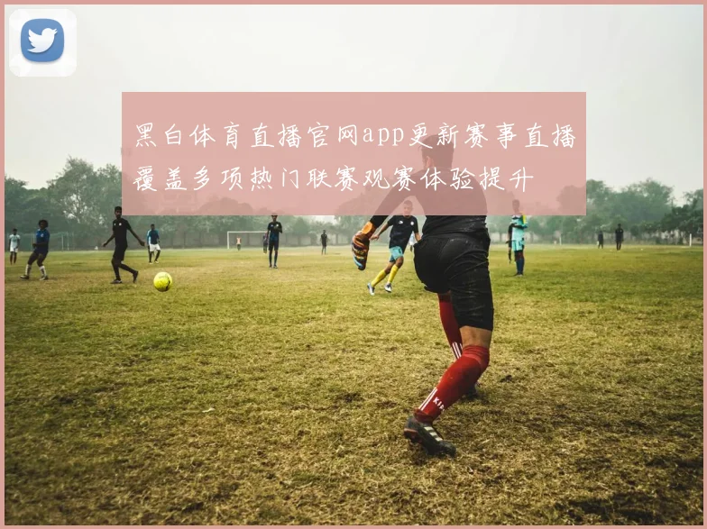 黑白体育直播官网app更新赛事直播覆盖多项热门联赛观赛体验提升