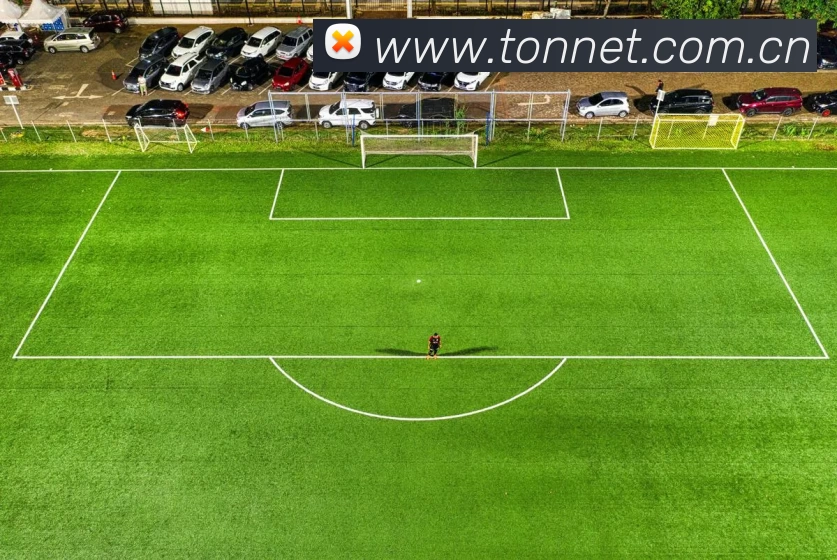 开云·kaiyun体育(中国大陆)官方网站 登录入口APP 封面图